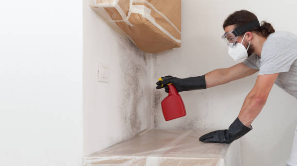 Professional Mold Cleanup technician working in Siler City, NC