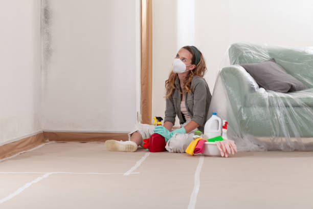 Reliable Mold Cleanup contractor in Siler City, NC by Cheap Mold Removal